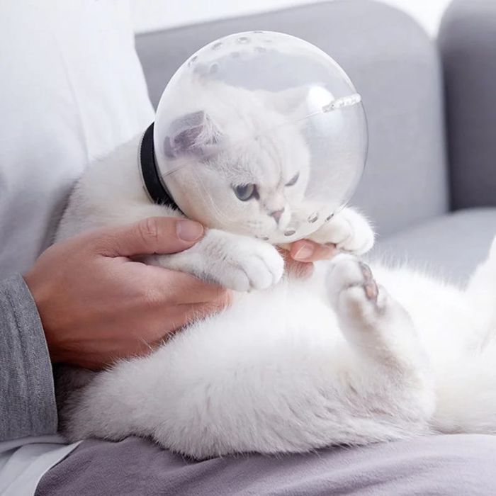 Premium Pet Cat Round Breathable Helmet Protective Cats Prevent Biting Transparent Head Shield for Grooming
