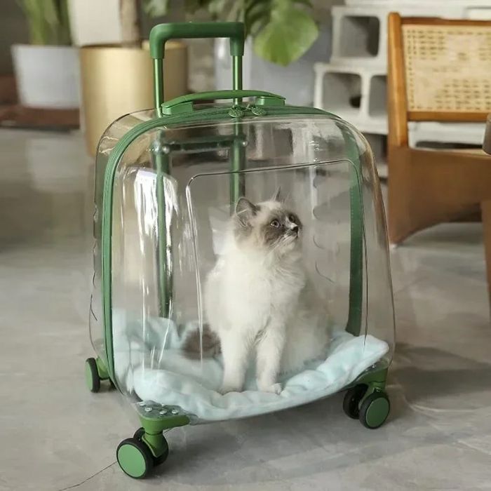Cat travel Trolley Cage Space Capsule Transparent Portable Large Capacity Bag for Pet Cat & Puppy  (Inside Dhaka only)