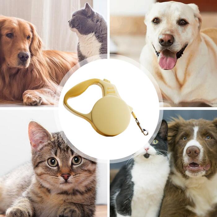 Colourful Automatic Retractable Nylon Leash with Break Button for Cats & Dogs