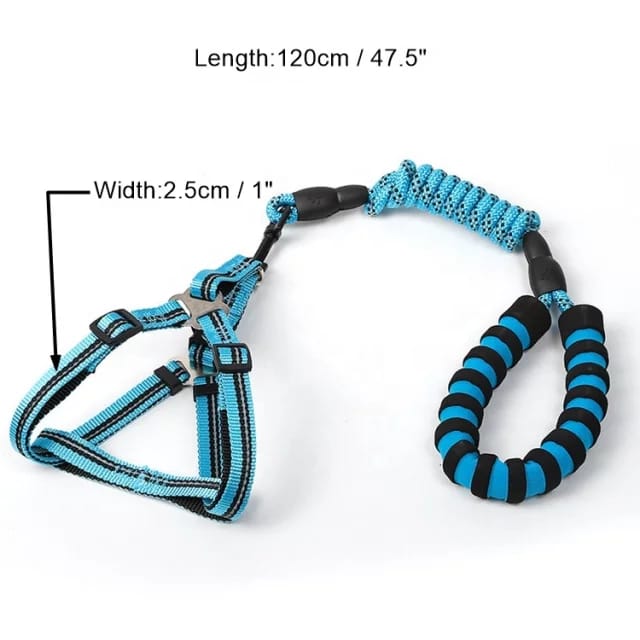 Premium Reflective Puppy & Dog Harness with Leash