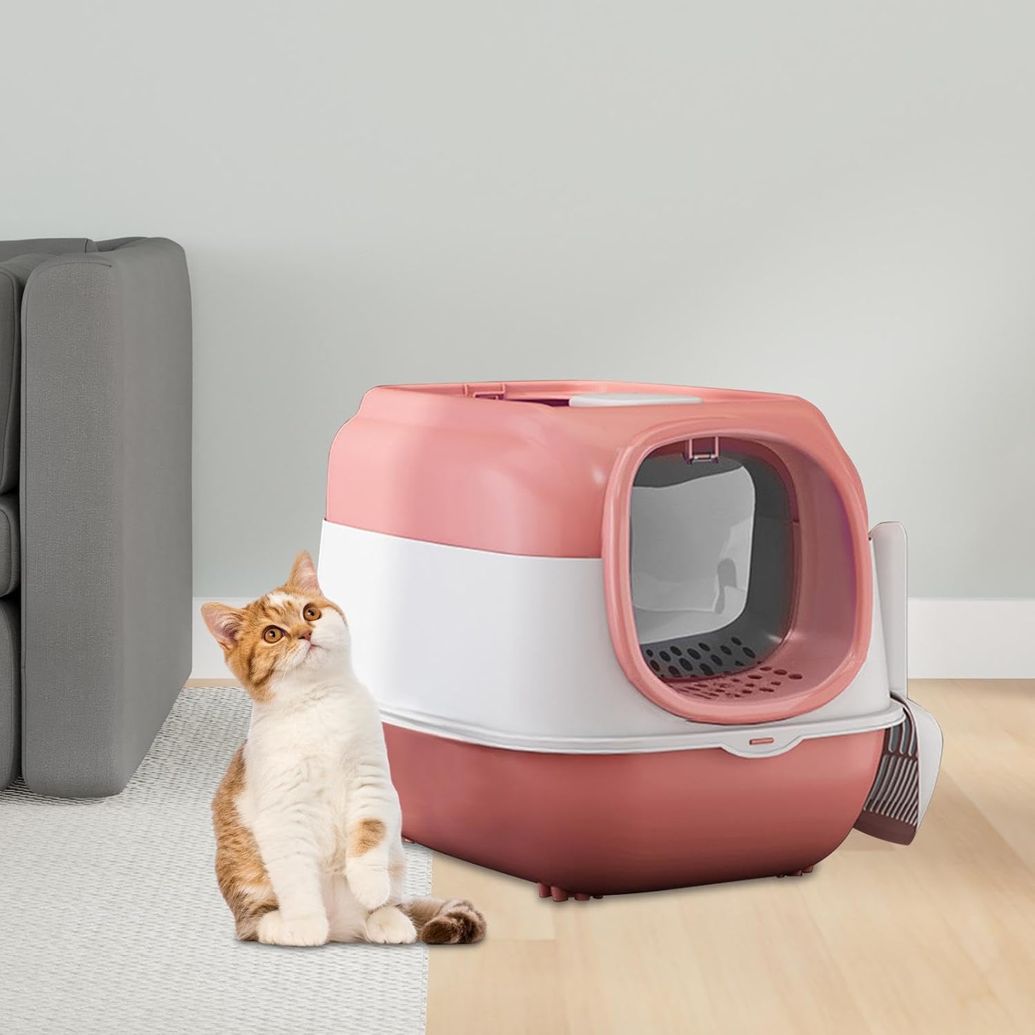 Multifunctional Super Premium Open Top Closed Litter Box with Scoop with Two Door (Inside Dhaka Only)