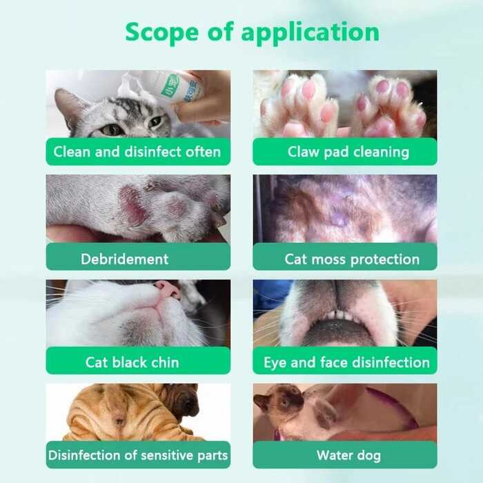 Small Pet Animals Skin Guard Foam Spray 70ml for Clearskin Treatment