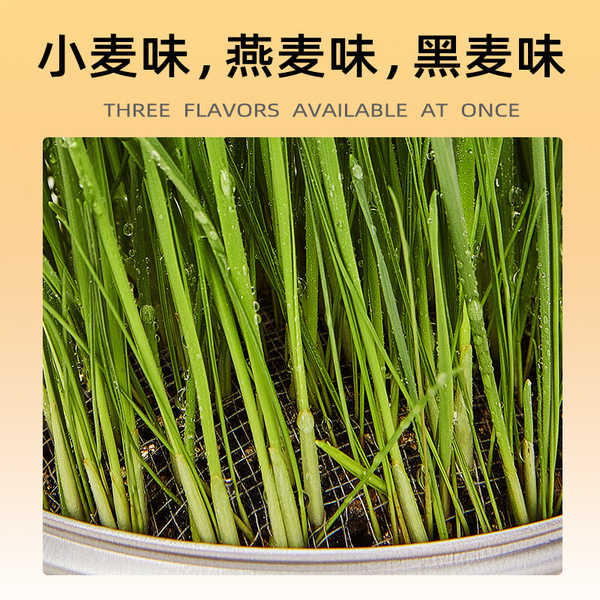 Portable Pet Cat Grass Kit with Aluminium Box Easy to Use