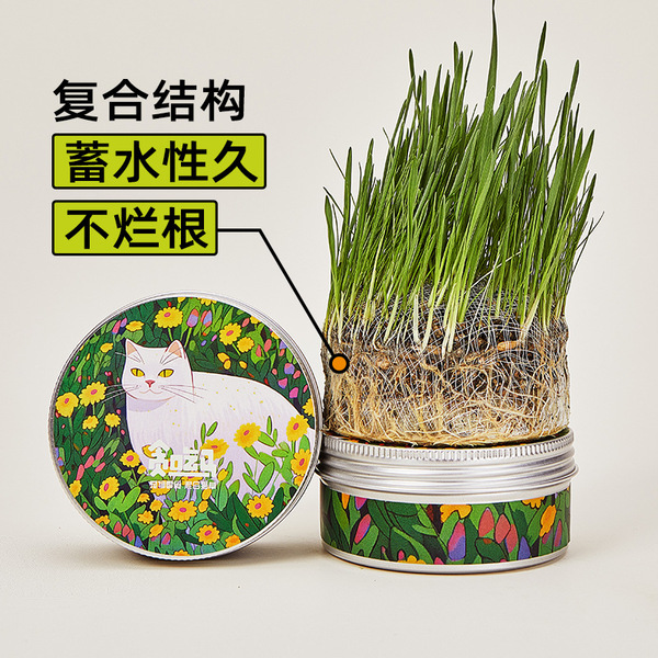Portable Pet Cat Grass Kit with Aluminium Box Easy to Use