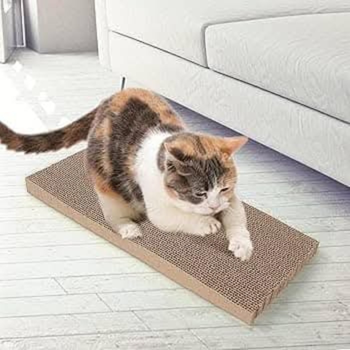 Large Size Regular Cat Scratcher Board for Scratching