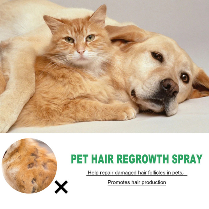 Yegbong pet hair enhancer Regrowth for cats and dogs hair conditioning and repairing damaged hair follicles and hair loss hair care spray 30ML.