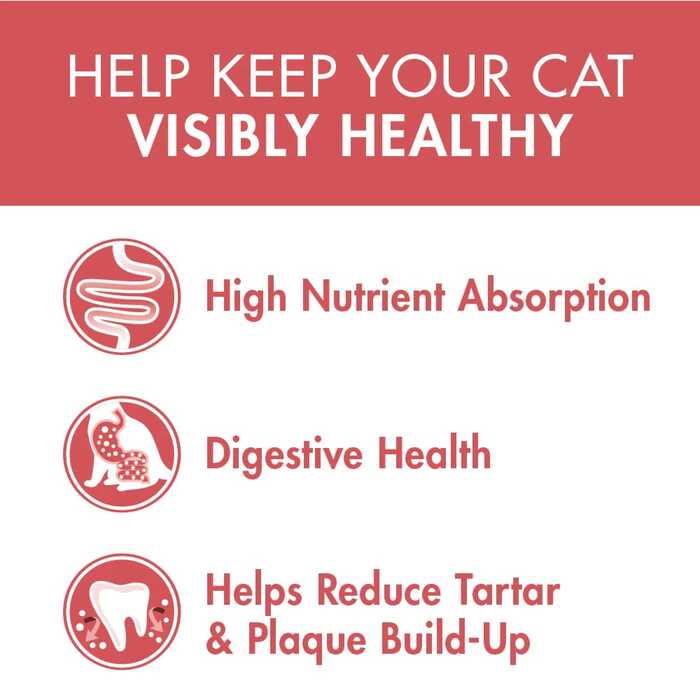 PURINA ONE Healthy Adult Cat Food with Salmon & Tuna 2.7kg