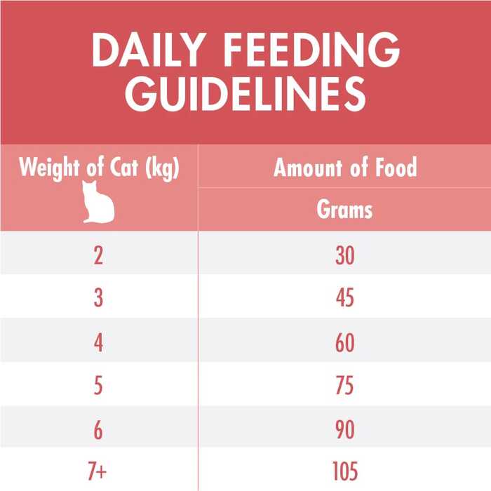 PURINA ONE Healthy Adult Cat Food with Salmon & Tuna 2.7kg