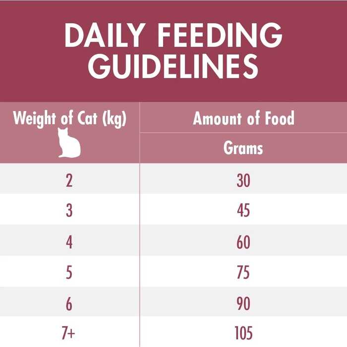 PURINA ONE Urinary Care Adult Cat Food with Chicken 380g