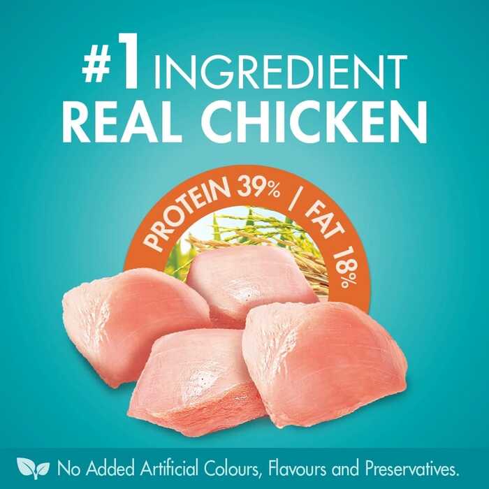 PURINA ONE Urinary Care Adult Cat Food with Chicken 380g