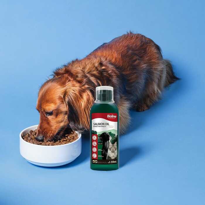 Bioline Norwegian Salmon Oil 250ml