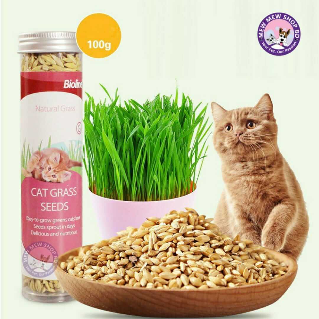 Bioline Cat Grass Seeds 100G Grow Organically