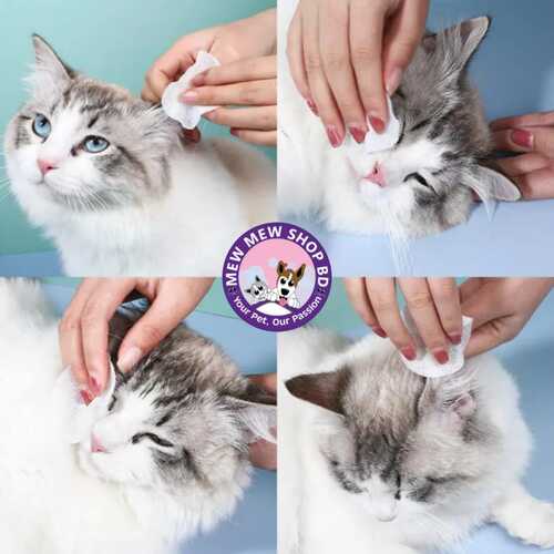 Eye Wipes for Pets (120 pcs)