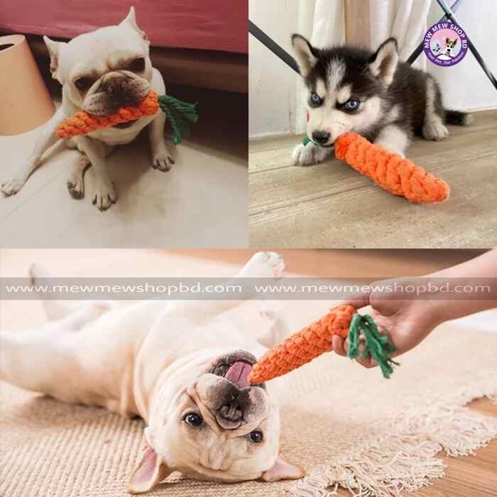 Carrot Shape Chew Toy for Pet Cat , Puppy & Dog