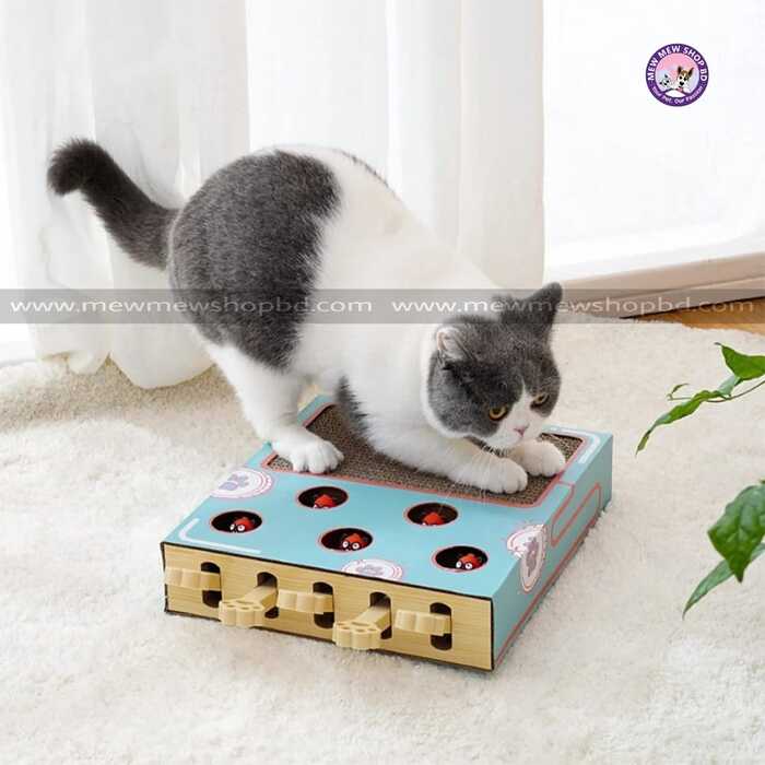 Whack A Mole Game Cat Toy Pet Stuffed Toys For Cats Accessories Spring Stick Interactive Toy With Cantip Cat Scratcher