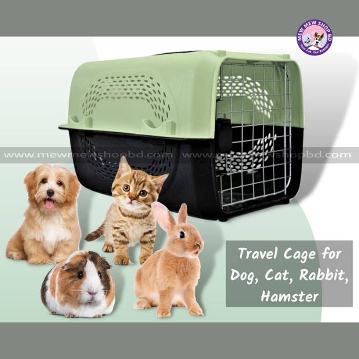Pet Cat & Dog Travel Carrier Box Extra Large Size