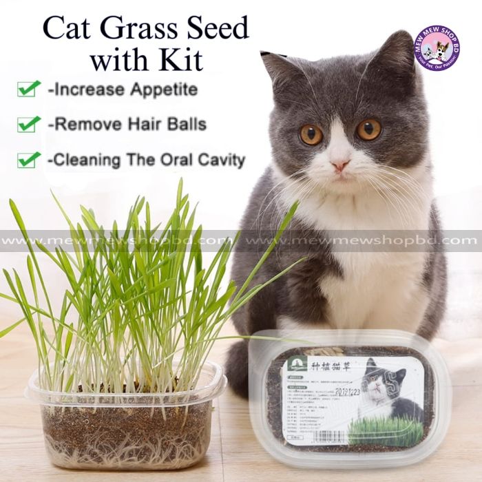 50g Cat Grass Seed with Kit Including Plastic Storage Box