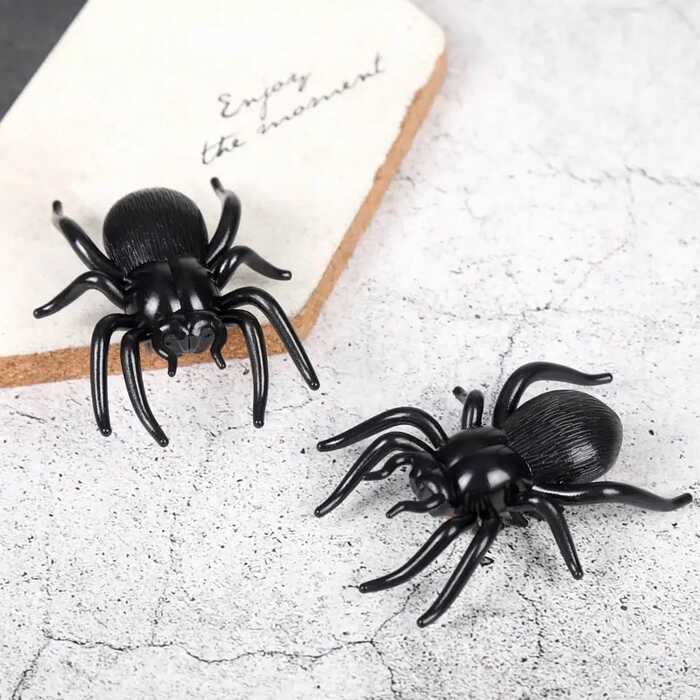 Pet Cat Crawl Vibration Spider Toys (1pcs)