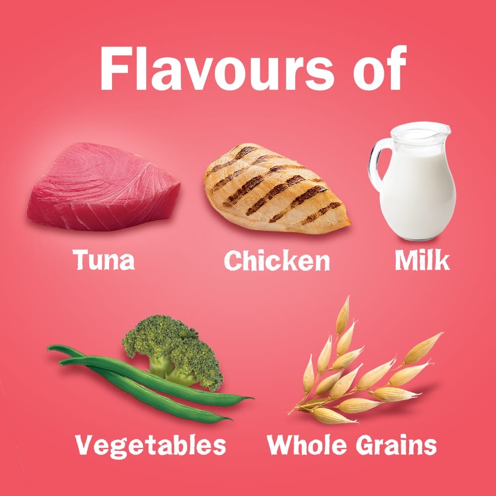 PURINA FRISKIES Kitten Discoveries Kitten Cat Dry Food 1kg