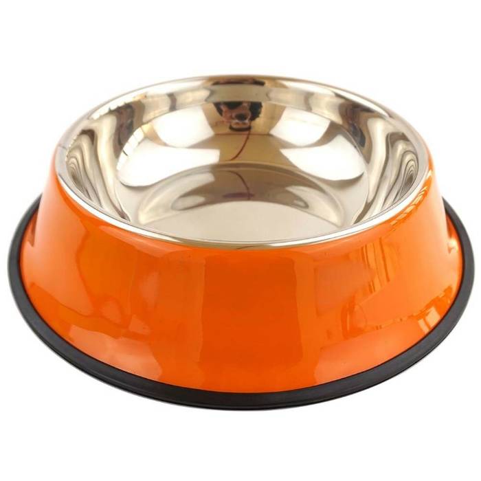 Colorful Stainless Steel Pet Cat & Dog Food Bowl