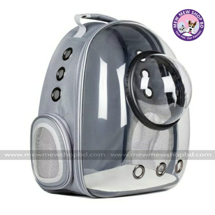 Astronaut Window Capsule Transparent Backpack