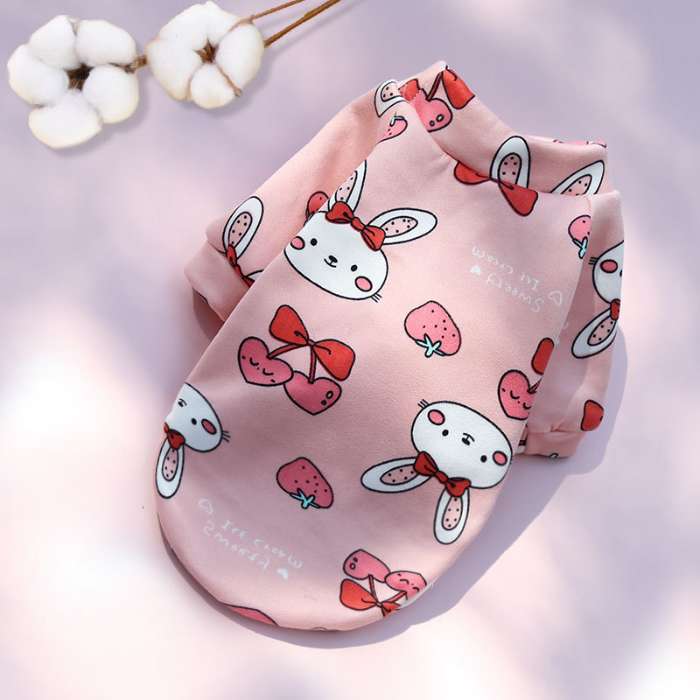 Full Sleeve Premium Printed Dress / Sweater ( No Exchange )