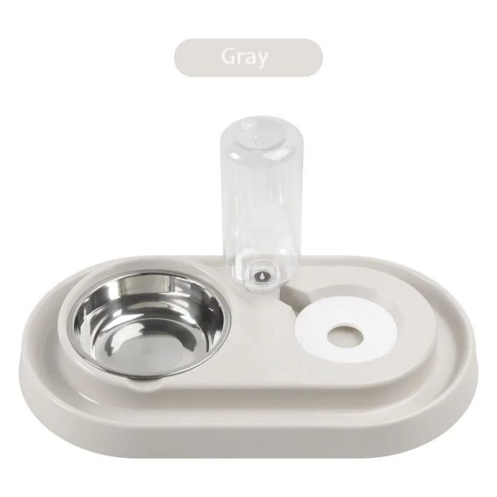 Anti-Ant Pet Cat & Puppy Food Bowl with Automatic Water bottle dispenser