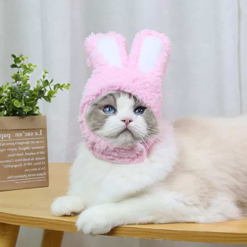 Bunny/Rabbit style Pet Cat Headwear / Hat  ( No Exchange)