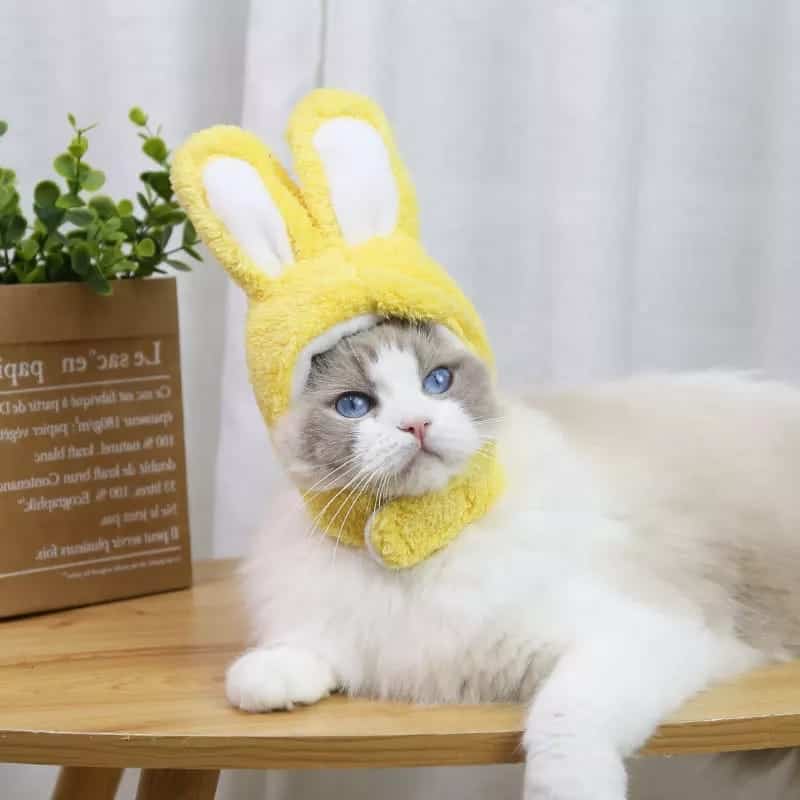 Bunny/Rabbit style Pet Cat Headwear / Hat  ( No Exchange)