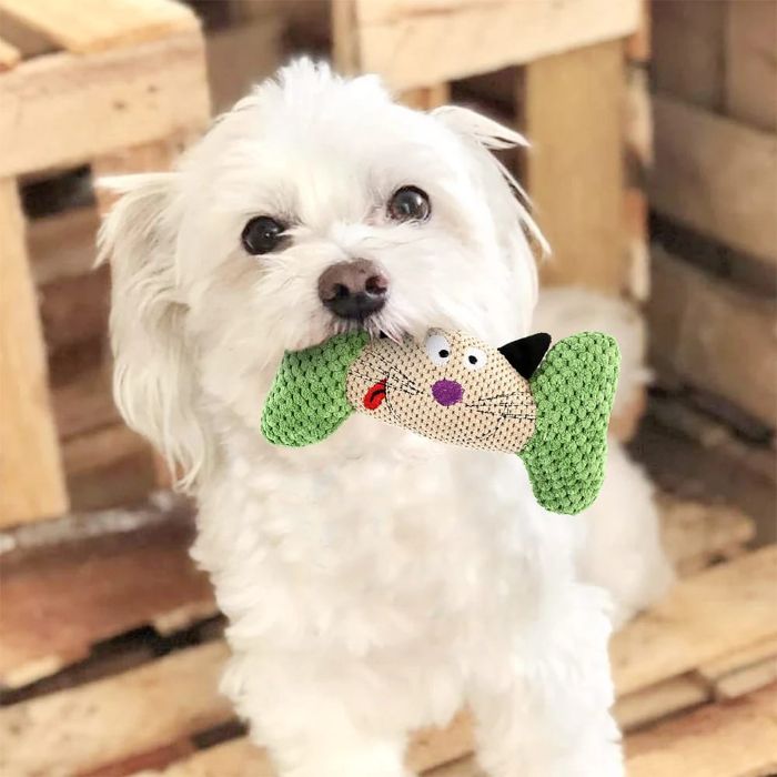 Cat Face Bone Plush Dog Chew Toys for Pets