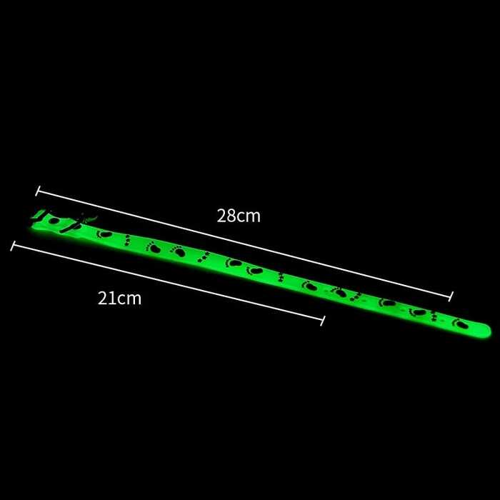 Fish Printed Round Bell Radium Collar for Pet Cat & Puppy