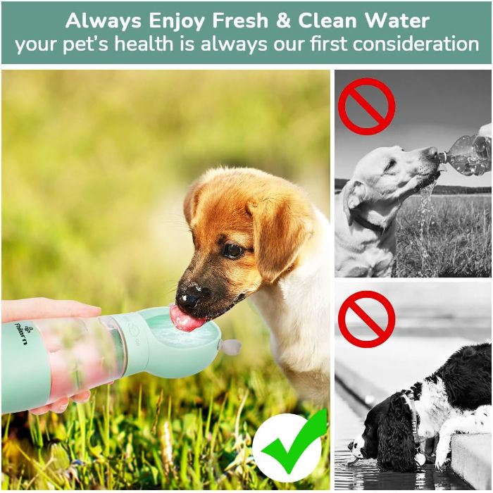 Pet Cat & Dog Leak Proof Portable Travel Food & Water Bottle Container with On Off Button