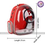 Astronaut Window Capsule Transparent Backpack