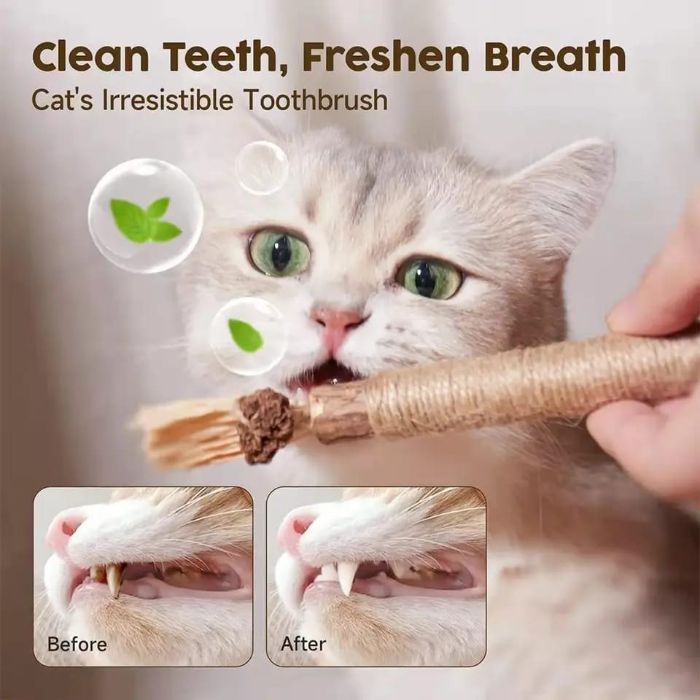 Pet Cat Toys Silvervine Chew Catnip Stick with Hemp Rope 1pcs