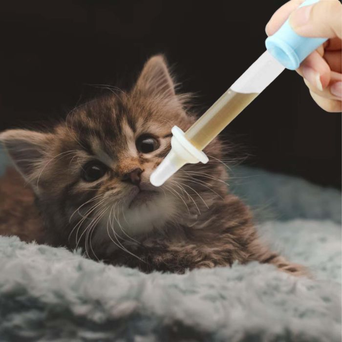 Pet Cat & Dog Baby Feeding Bottle & Dropper Feeder Set with Dustproof Storage Box