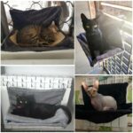 Hanging Removable Cat Hammock Pet Cat Beds For Radiator Bench