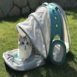 Dual Expandable Pet Carrier Tent Backpack for Pet Cat & Bunny