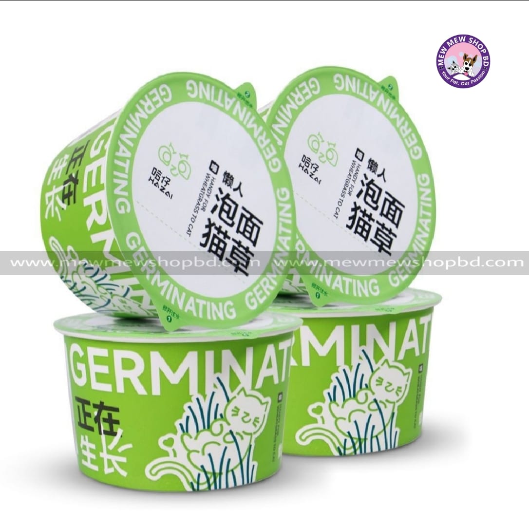 Premium Pet Cat Germinating Grass Kit Box