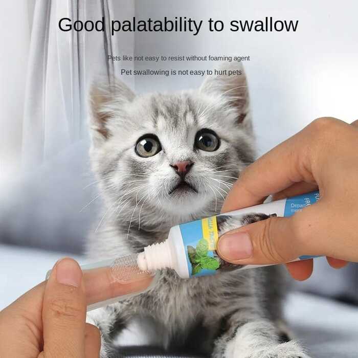 Pet toothpaste Vanilla flavor cat toothpaste oral cleaning Cat toothpaste teeth cleaning 70g