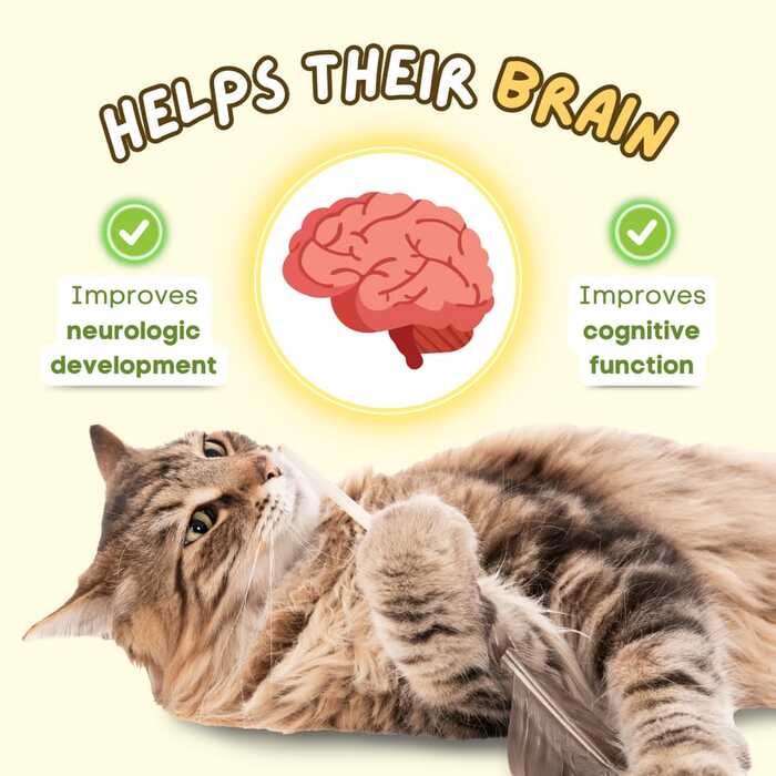 Cat Butler Omega 3 Fish Oil 50ml  – Emulsified Cat Supplement