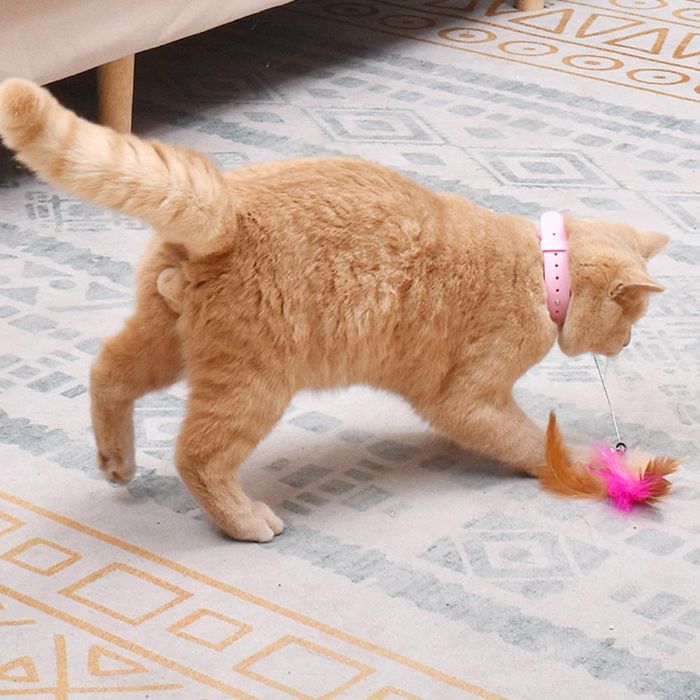 Cat Collar Teaser String Toy Collar Self-stimulating to Relieve Boredom and Bite-resistant