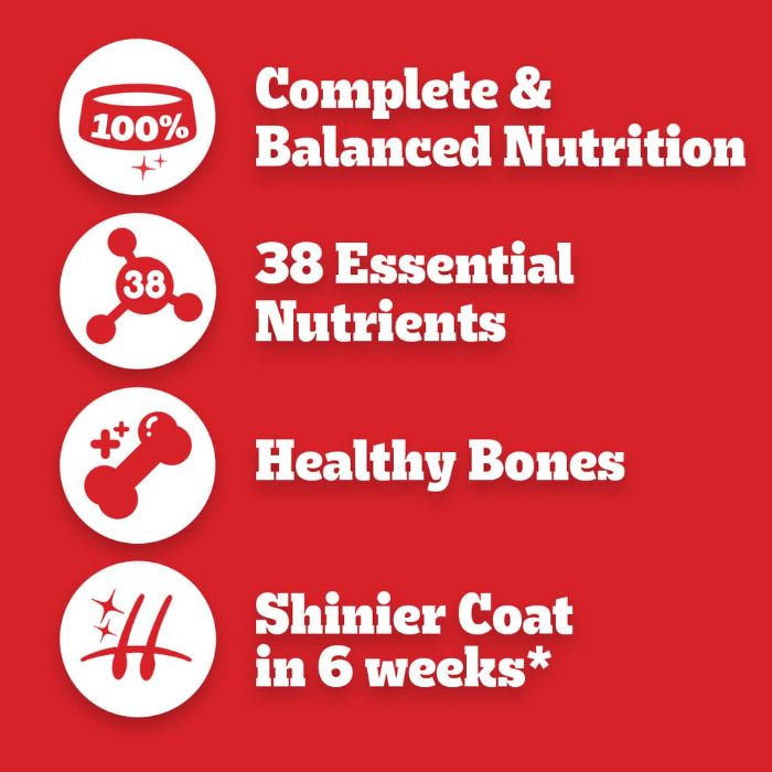 Pedigree Complete Adult Dry Dog Food Beef and Vegetables 1.5kg