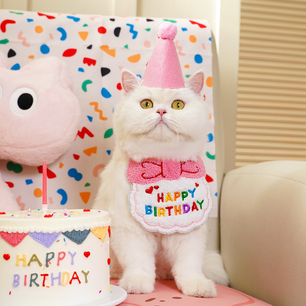 Cute Pets Birthday Hat with Dress up Bib Adjustable Colorful Necklace Cats ( No Exchange )