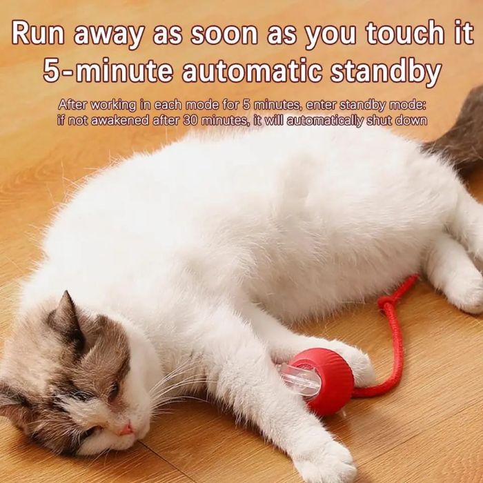 Smart Cat Chirping Roller Ball with Motion Sensor