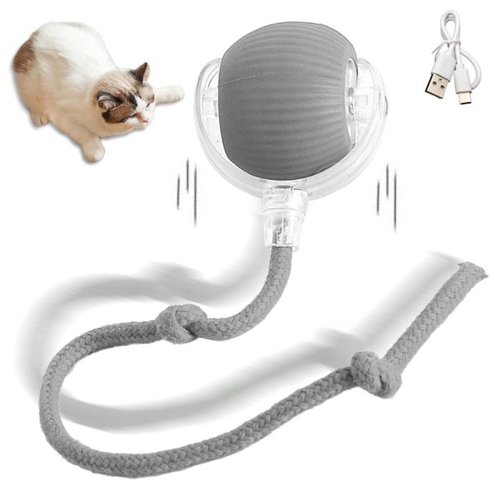 Smart Cat Chirping Roller Ball with Motion Sensor