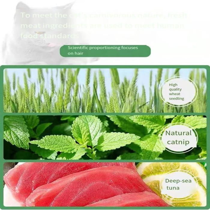 Hoopet Cat Biscuits WIth Catnip Edible Snacks for Teeth, Nutrition & Fattening For Cats 80g