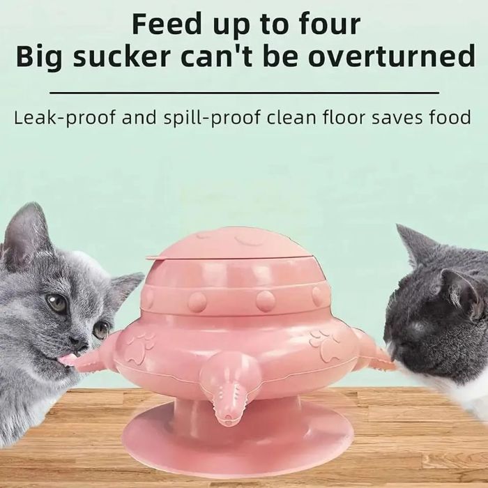 Cat & Puppy Feeding Station with 4 Nipples 200ml Nursing Bottle kits for Newborns and Kittens Feeder