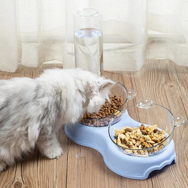 Cat Ear Design Three Bowl with Dry and Wet Separation Food Bowl for Pet Cat