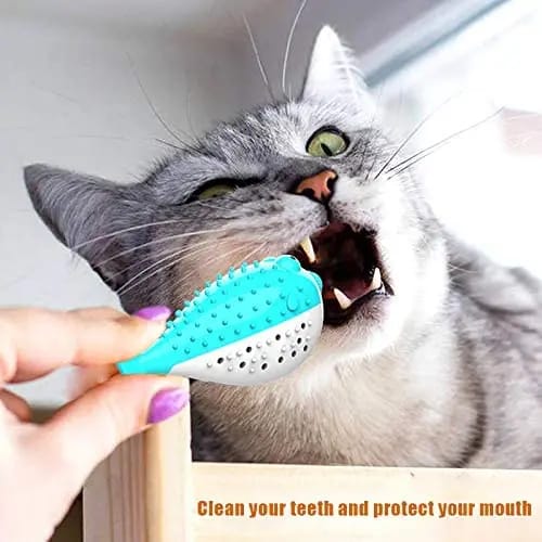 Pet Cat & Dog Kitten TPR Puffer Fish Toothbrush Catnip Molar Soft Bite Chew Play Toy