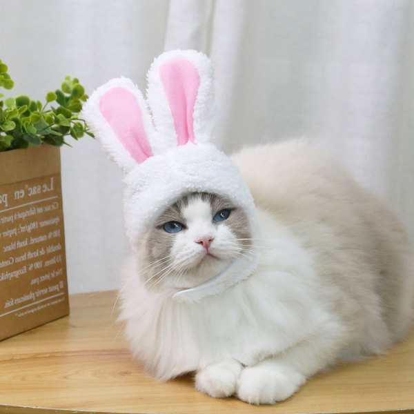 Bunny/Rabbit style Pet Cat Headwear / Hat  ( No Exchange)